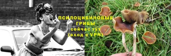 стафф Верея
