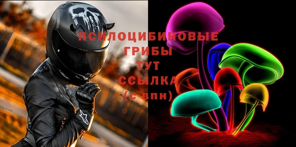 ALPHA-PVP Вяземский